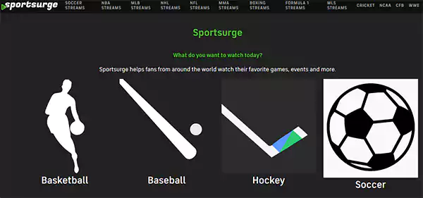 Sportsurge