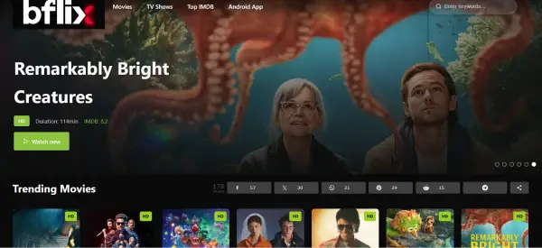 BFlix 
