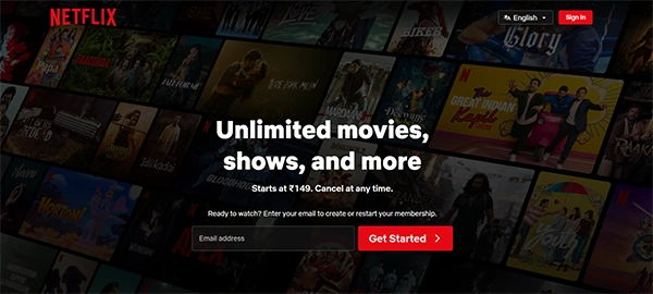 Netflix Website
